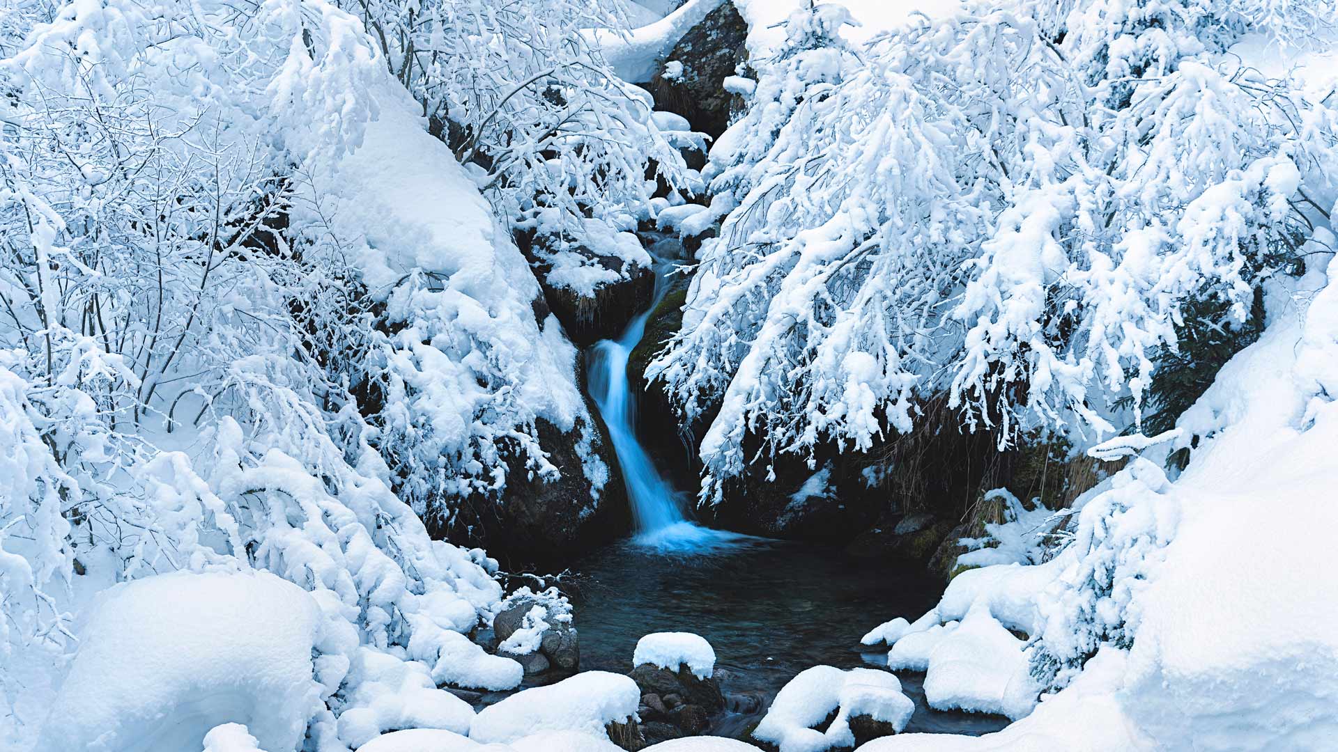 Bing Wallpaper (IN) 20251127 - Thursday, 27th November, 2025